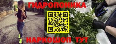 гашик Кимры