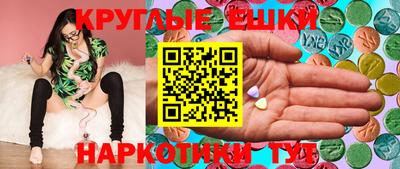 гашик Кимры