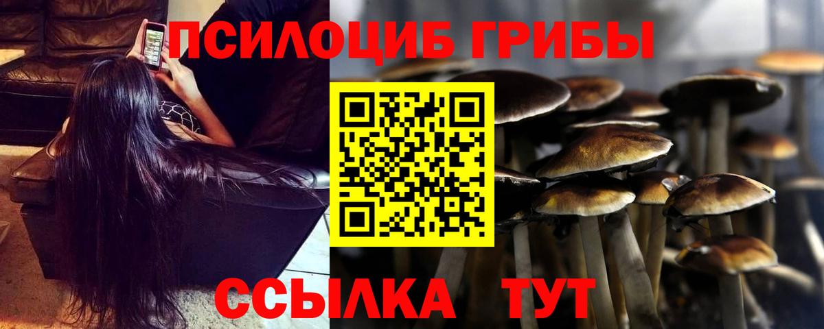 Псилоцибиновые грибы ЛСД Кингисепп